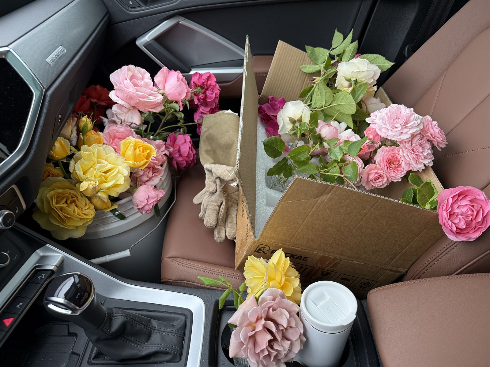 Roses packed in the car ready for transport to Factoria