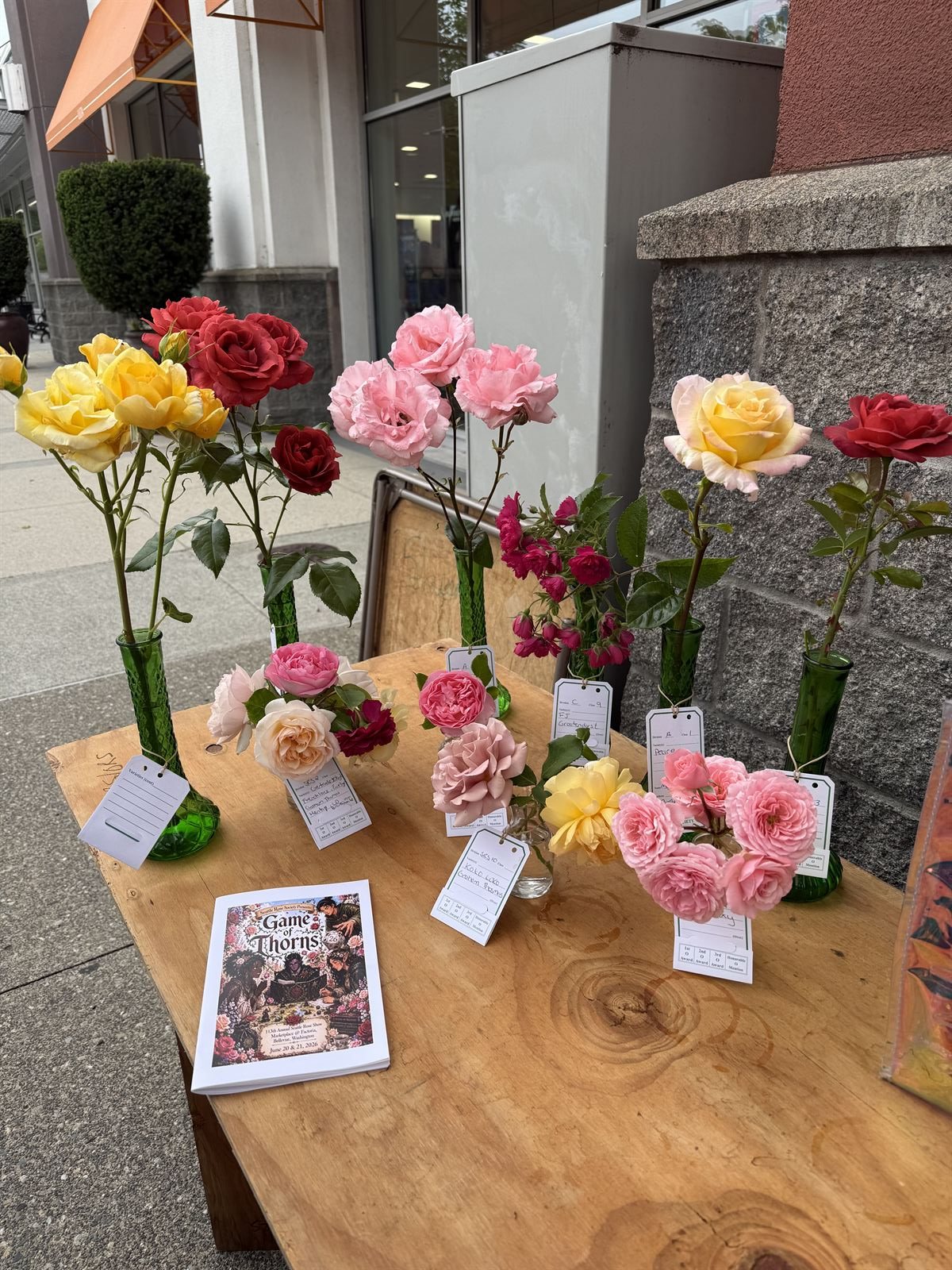 Entries staged on a wood table outside the venue with the Game of Thorns show program