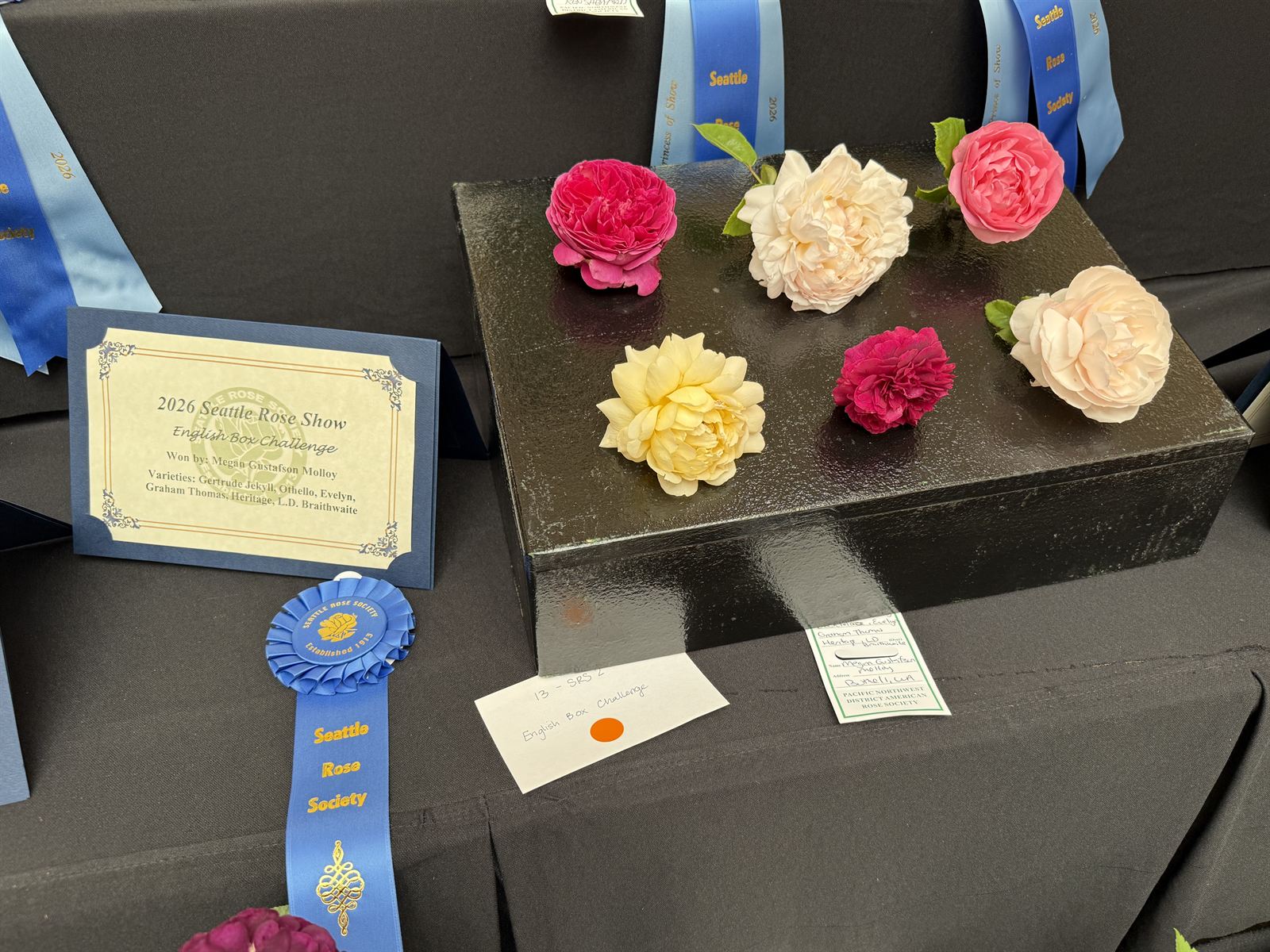 English Box Challenge entry with blue rosette